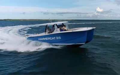 Hammer Cat 35