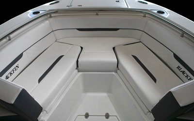 Blackfin 252CC