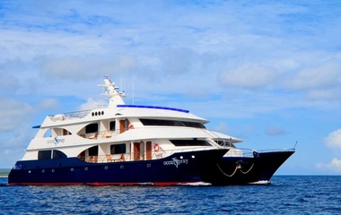 Custom Ocean Spray
