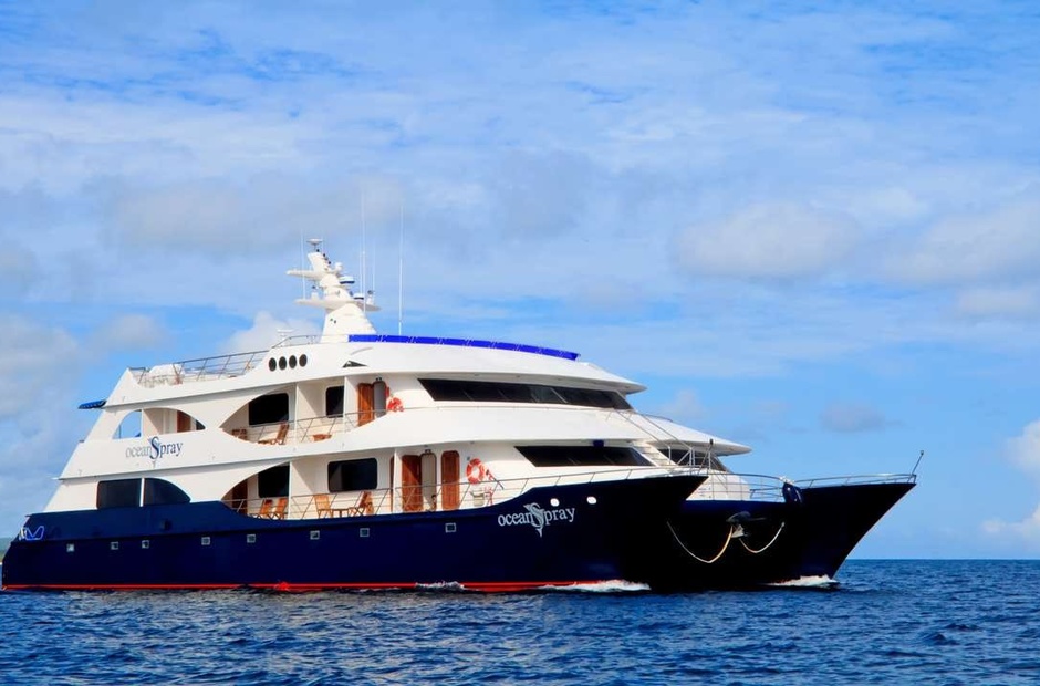 Custom Ocean Spray