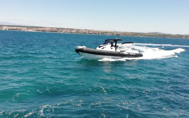 Grginic Shark 38
