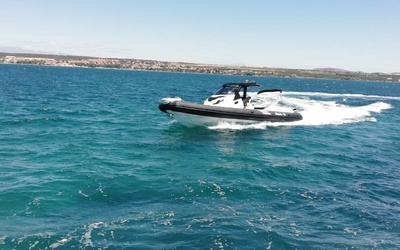 Grginic Shark 38