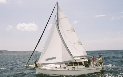 Haber 800 C4