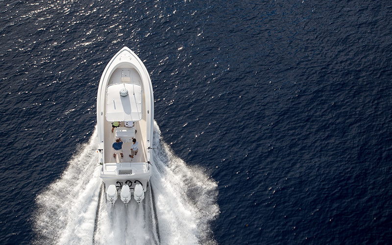 Dusky 33 XF
