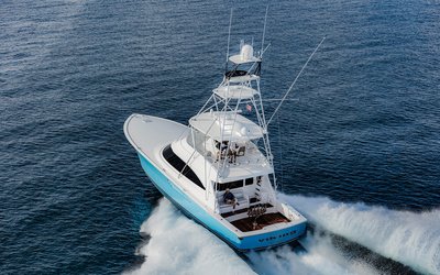 Viking 58C