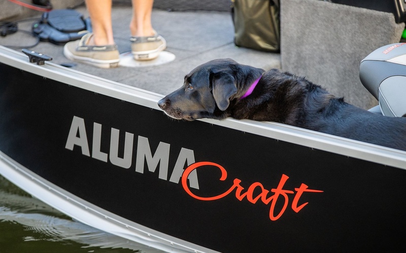 Alumacraft Classic 165 CS