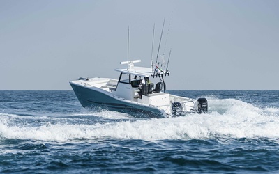 SilverCat 34HT