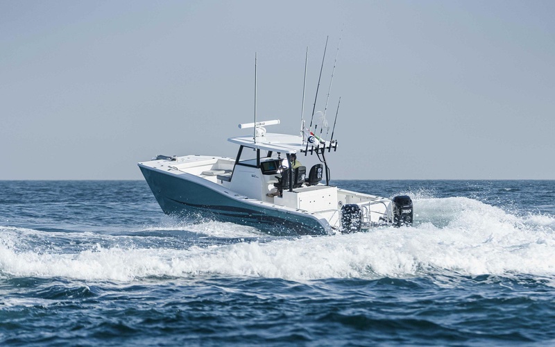 SilverCat 34HT