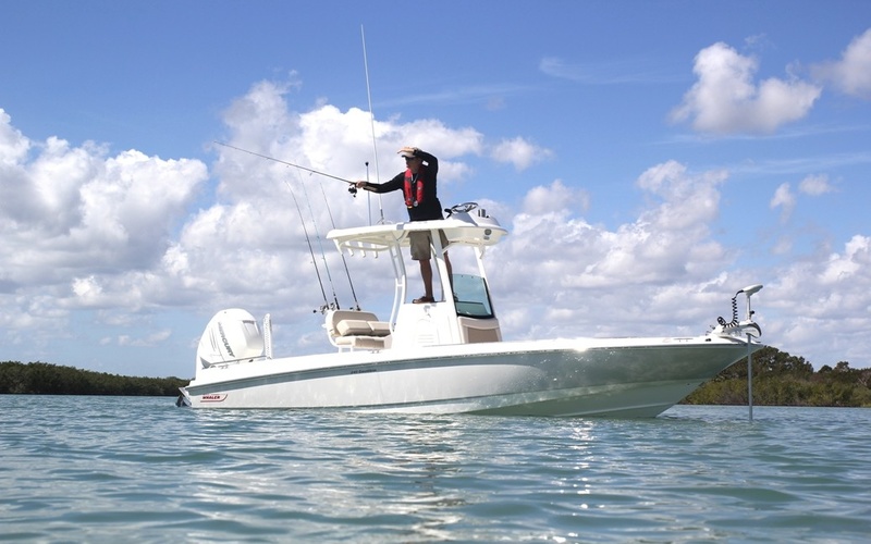 Boston Whaler 240 Dauntless PRO