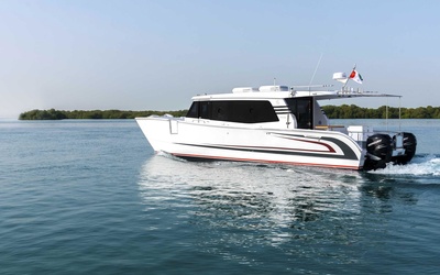SilverCat 40LUX