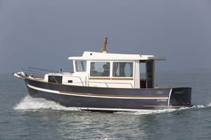 Rhea 30 Evolution