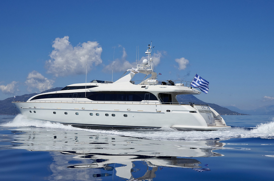 Falcon Celia