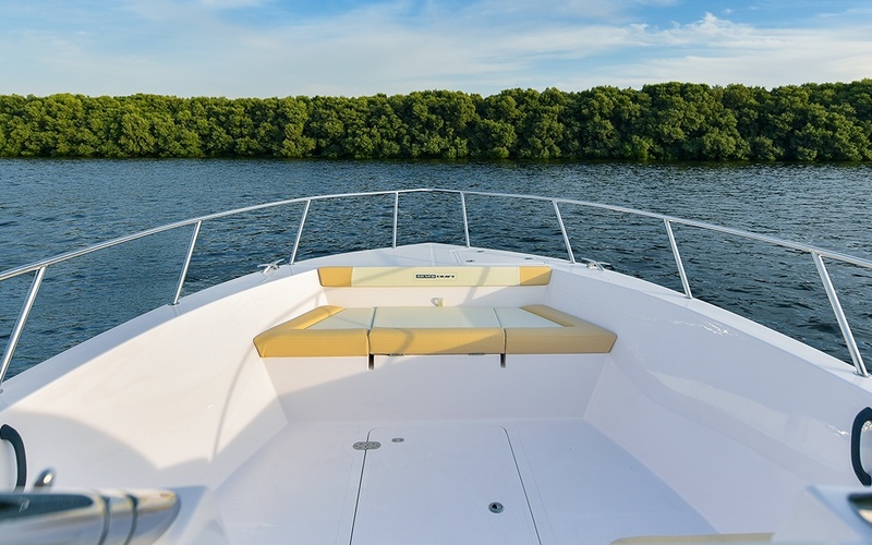 Silvercraft 31