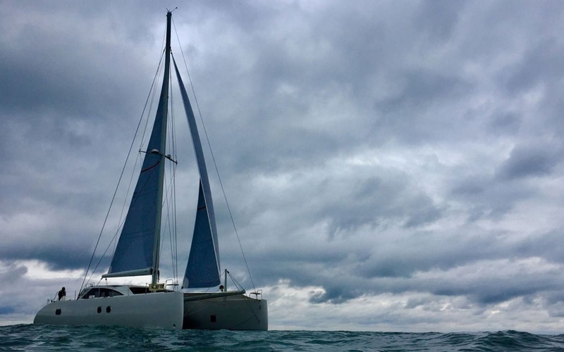 Ice Cat 61