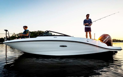 Sea Ray SPX 190 OB