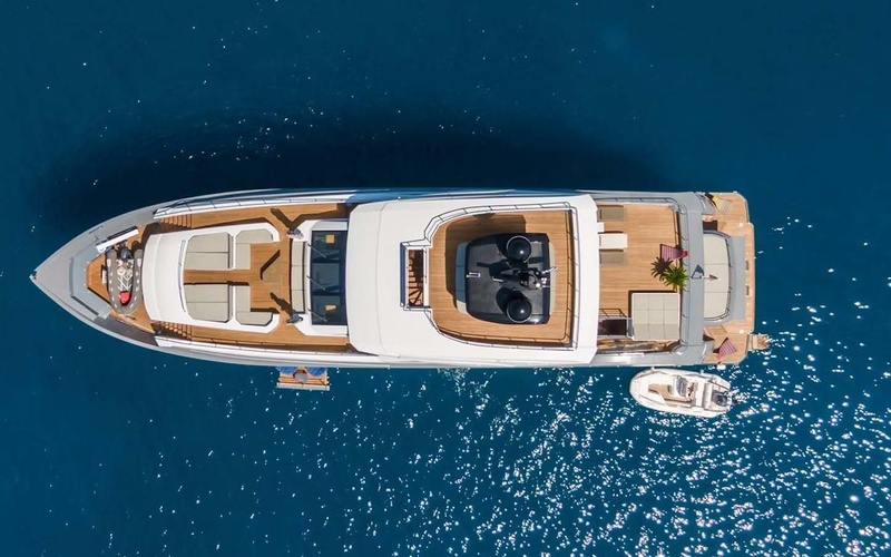 Novurania Chase 19