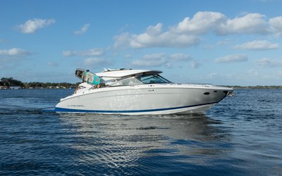 Regal LS9 Surf