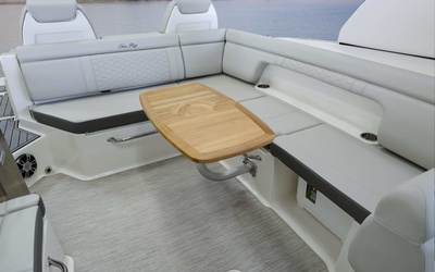 Sea Ray SDX 290