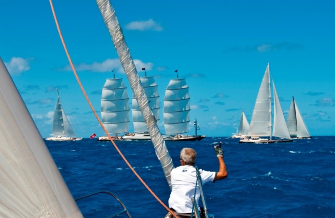 Perini Navi ходят стаями
