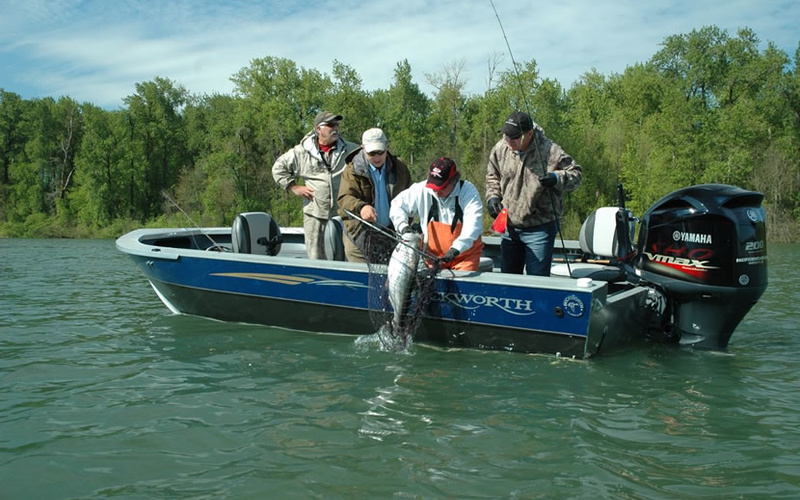 Duckworth 723 Pro 7 Series