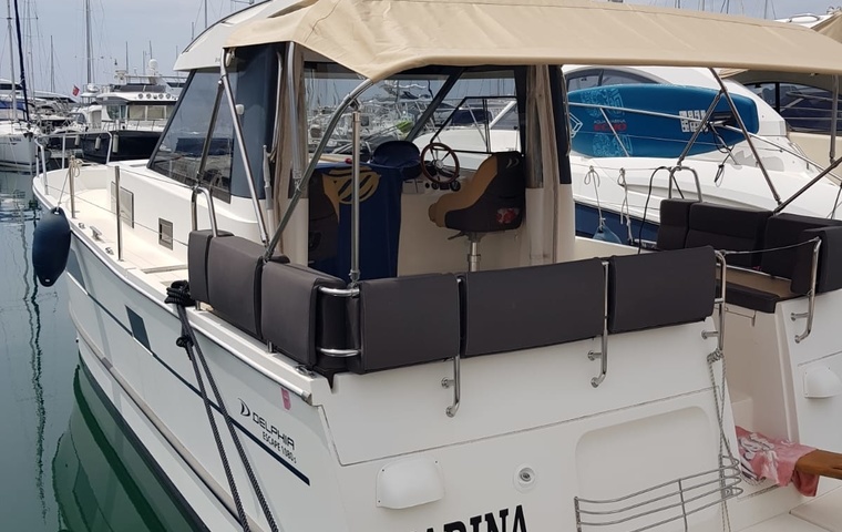 Delphia ESCAPE 1080 S (2014)