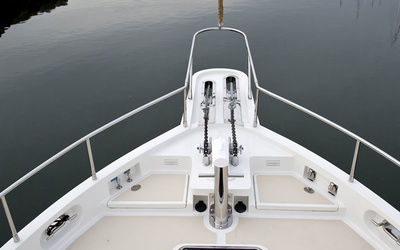 Selene 49