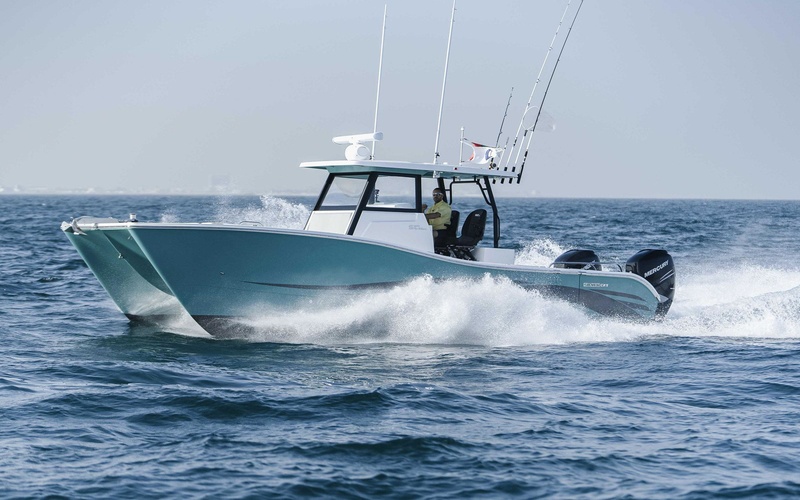 SilverCat 34HT