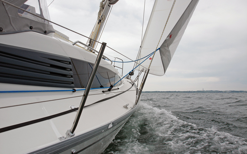 Delphia 31