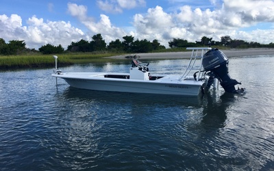 Mitzi 17