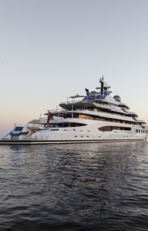 Внутреннее совершенство Amadea