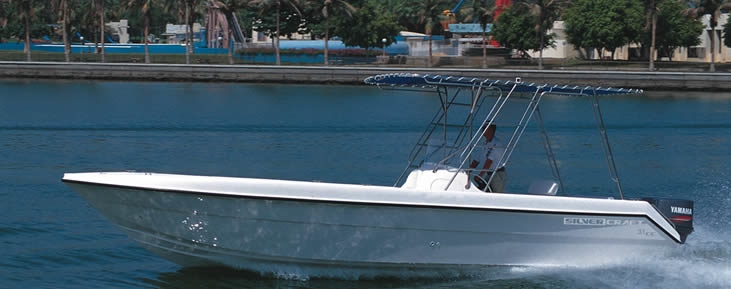 Silvercraft 31СС