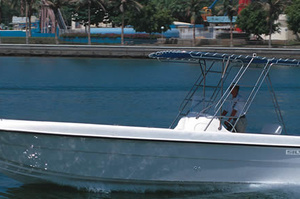 Silvercraft 31СС