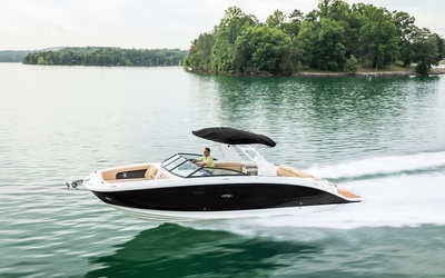 Sea Ray SDX 290