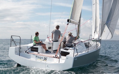 Pogo 36