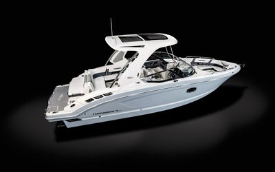 Chaparral 317 SSX