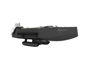 Iguana Day Limo