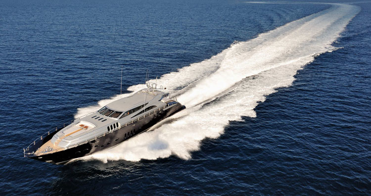 ARNO Leopard 34