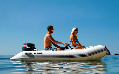 Brig Falcon 360