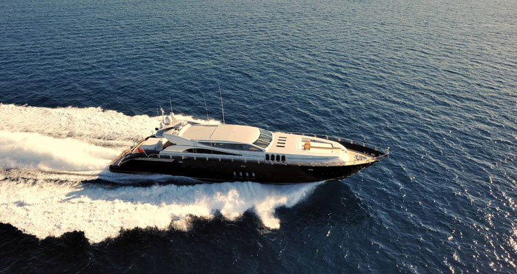ARNO Leopard 34