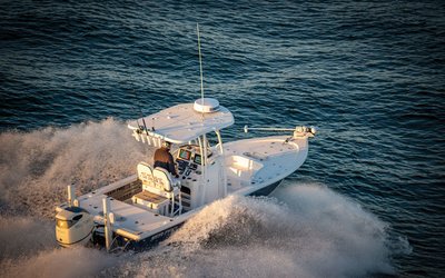 Sea Pro 248 Bay
