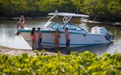 Blackfin 272DC