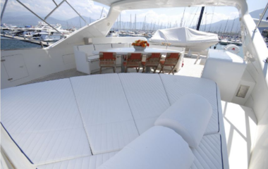 Falcon Royal Life