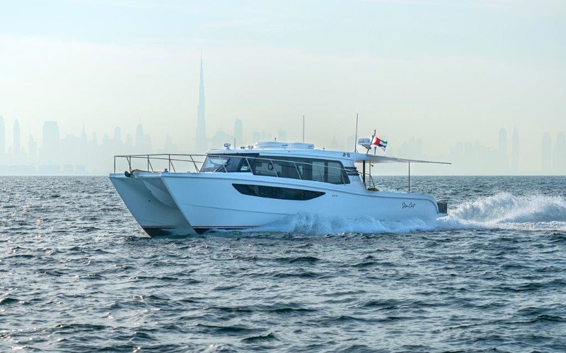 SilverCat 46LUX