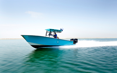Hayaari H28SF