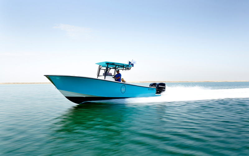 Hayaari H28SF