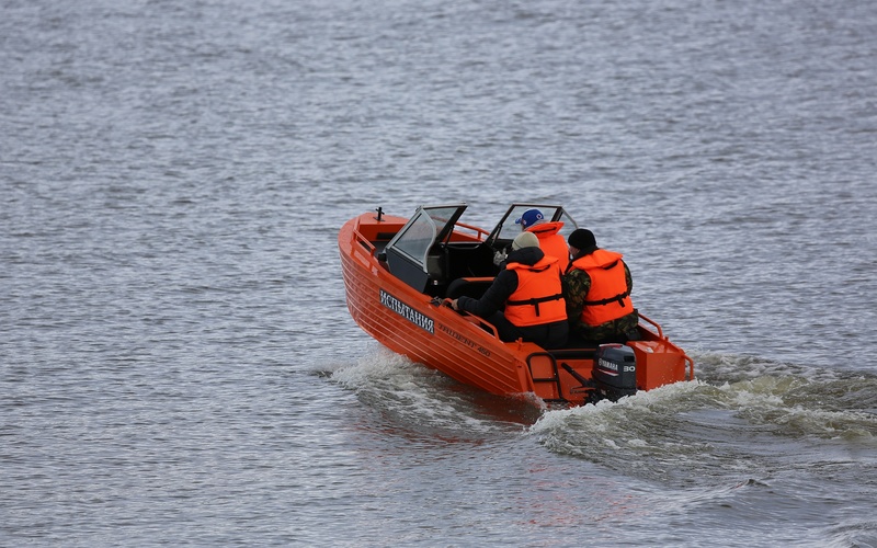 Trident 450 Fish