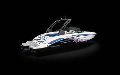 Vortex 2430 Vortex VRX