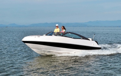 Fibrafort Focker 210