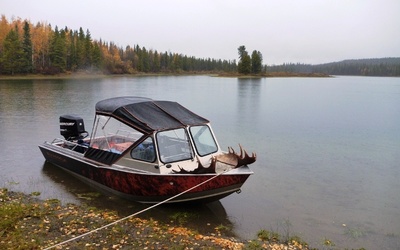 Wooldridge 17' Sport