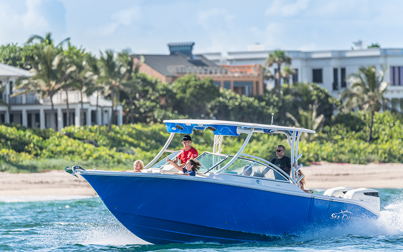 Sea Chaser 27 DC